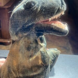 Tyrannosaurus Rex  Plush Puppet Toy - Green and Brown